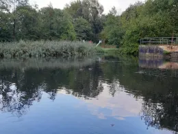 Rückhaltebecken Heidbergpark-0