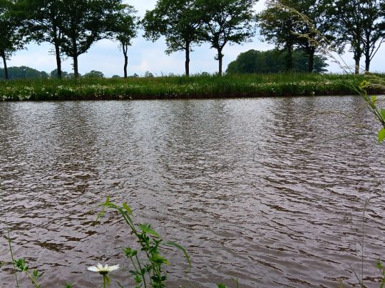 Twentekanaal (Enschede)-3