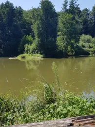 Schwanenweiher (Lauterbourg)-2