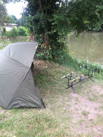 Schwanenweiher (Lauterbourg)-3