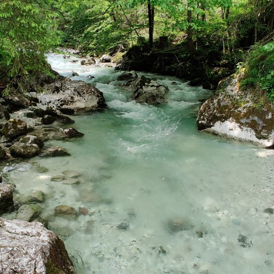 Ramsauer Ache (Ramsau)-4