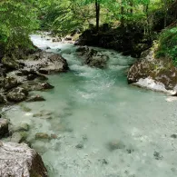 Ramsauer Ache (Ramsau)-4