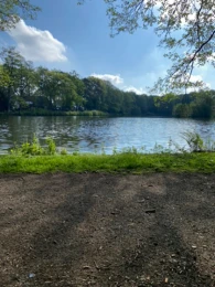 Galgenmoorsee (Cloppenburg)-2