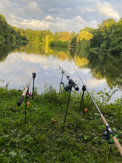 Galgenmoorsee (Cloppenburg)