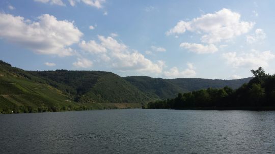 Mosel (Schweich)-2