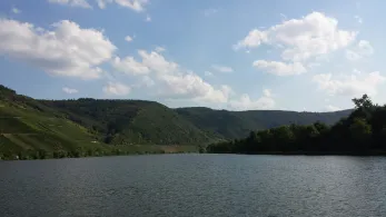 Mosel (Schweich)-2
