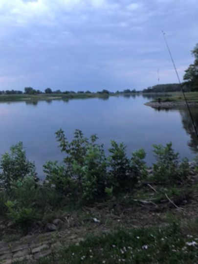 Alte Elbe (Dornburg)-4