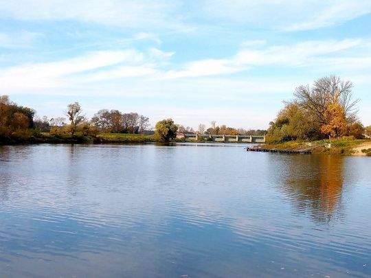 Alte Elbe (Dornburg)-3