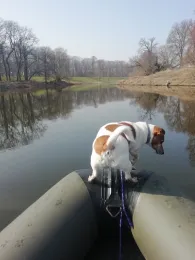 Alte Elbe (Dornburg)-1