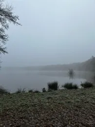 Hollener See (Saterland)-2