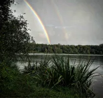 Hollener See (Saterland)-4