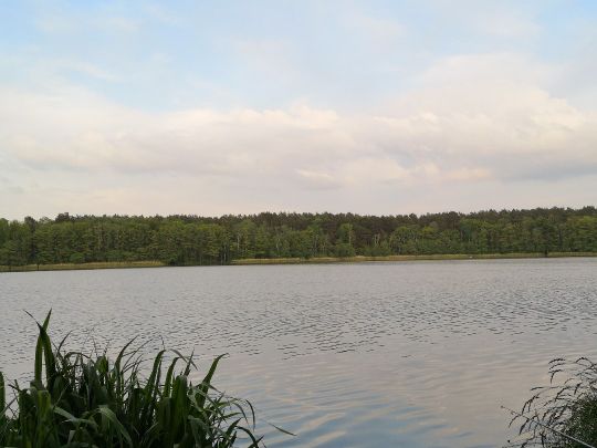 Stahnsdorfer See-2