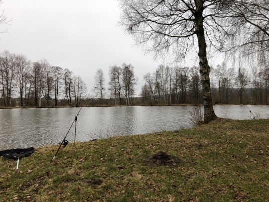 Baiersweiher (Weißenstadt)-2