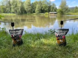 Baiersweiher (Weißenstadt)-1