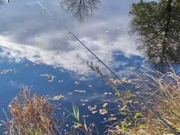 Ems-Jade-Kanal (Wiesmoor)