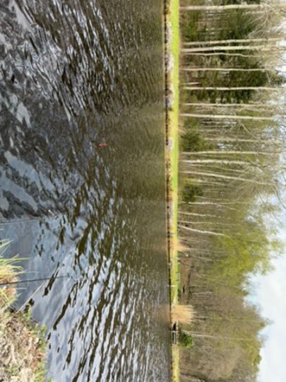 Ems-Jade-Kanal (Wiesmoor)-1