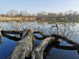 Luttersee (Gröningen)-1