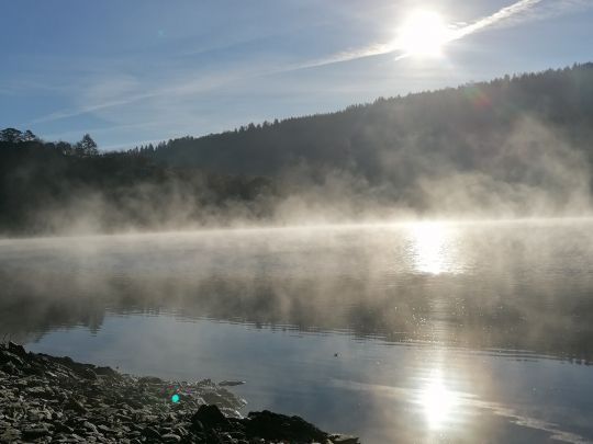 Obersee (Rurtalsperre)-2