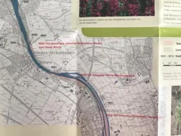 Neckar (Neckargemünd)-1