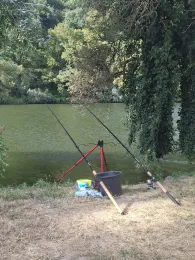 Neckar (Neckargemünd)-4