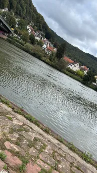 Neckar (Neckargemünd)-4