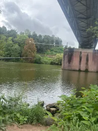 Neckar (Neckargemünd)-4