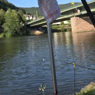 Neckar (Neckargemünd)-3