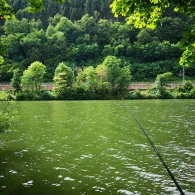 Neckar (Neckargemünd)-2