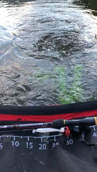 Neckar (Neckargemünd)