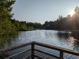 Waldsee Lindenberg-3