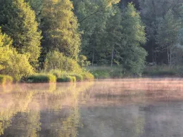 Waldsee Lindenberg-2