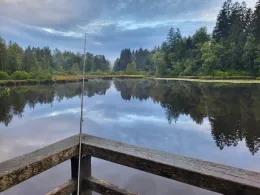 Waldsee Lindenberg-1