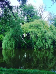 Hubertusteich (Köthen)