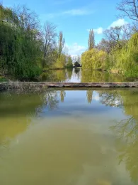 Hubertusteich (Köthen)-1