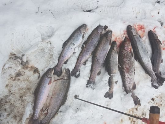 Fischzucht Frömmersbach