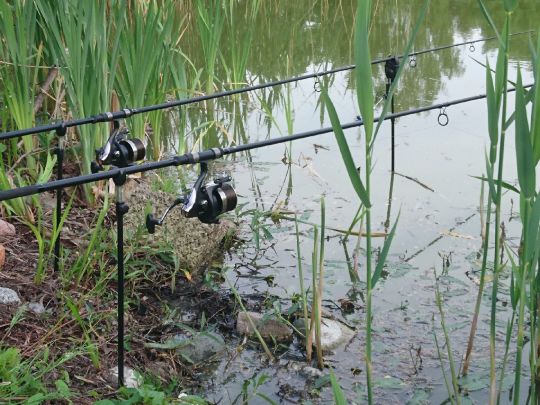 Dorfteich Zickhusen-3