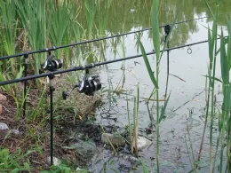 Dorfteich Zickhusen-3