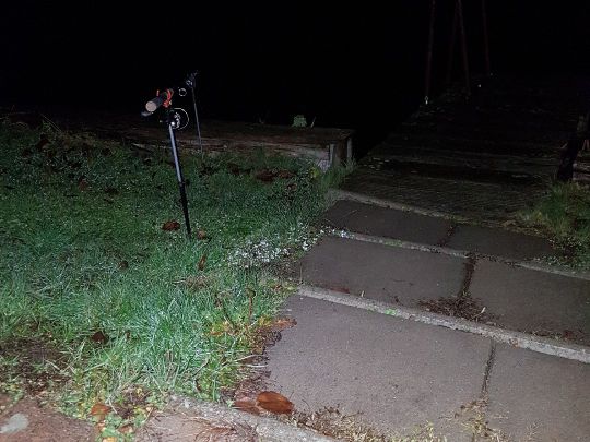 Buckowsee (Buckow)-4