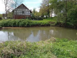 Haune (Haunetal-Neukirchen)