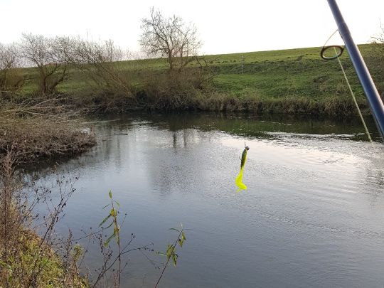 Lippe (Olfen)
