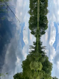 Fehlesee (Harsewinkel)-4