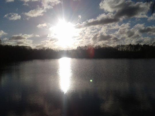 Fehlesee (Harsewinkel) angeln