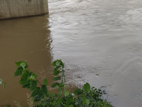 Wörnitz (Donauwörth)-2