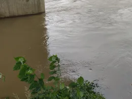 Wörnitz (Donauwörth)-2