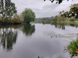 Wörnitz (Donauwörth)-3