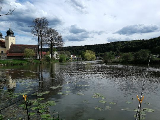 Altmühl (Kottingwörth) angeln