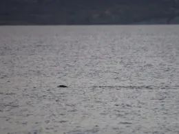 Saronischer Golf (Methana)