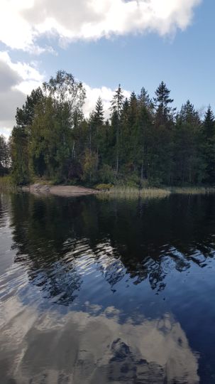 Hornbetasjön