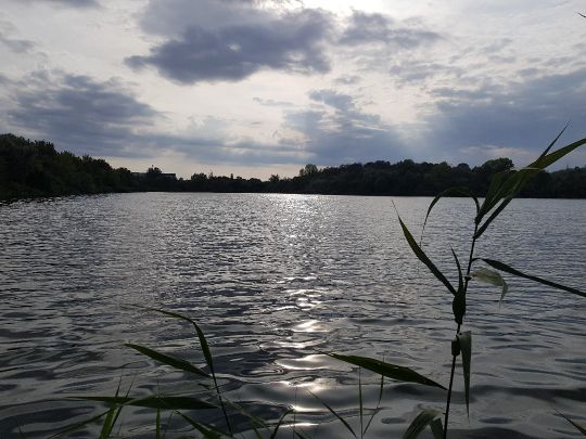 Betonwerkteich II (Gröbzig)-4