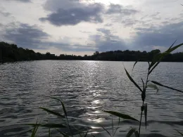 Betonwerkteich II (Gröbzig)-4